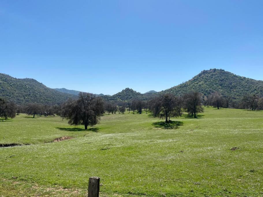 Waxberry Getaway Sequoia/Kings Canyon National Pks Yokuts Valley  Εξωτερικό φωτογραφία