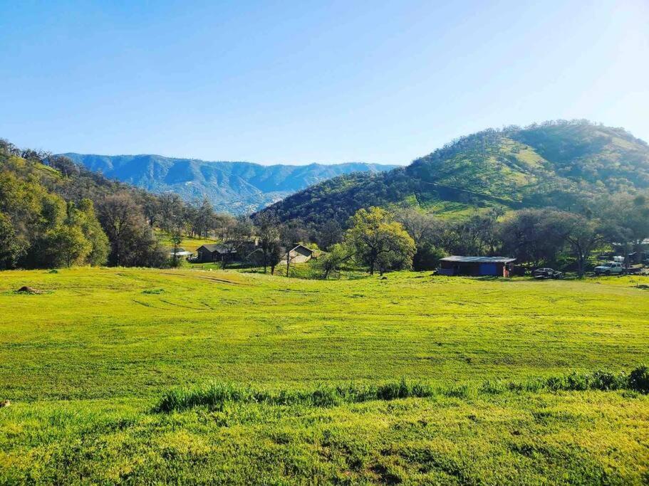 Waxberry Getaway Sequoia/Kings Canyon National Pks Yokuts Valley  Εξωτερικό φωτογραφία